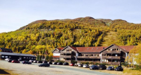 Гостиница Raulandsfjell, Rauland